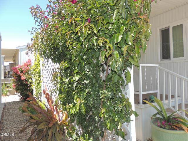 Detail Gallery Image 4 of 38 For 10685 Blackburn Rd #87,  Ventura,  CA 93004 - 2 Beds | 1 Baths