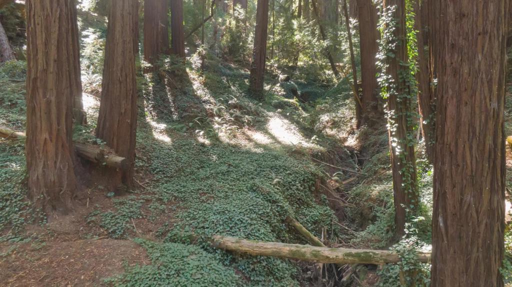 MLS #ML81988191 image #10