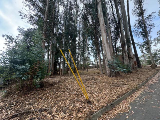 0 The Alameda, El Granada CA: https://media.crmls.org/mediaz/d3da7ded-c220-4328-8c87-f17f3d25dfe9.jpg