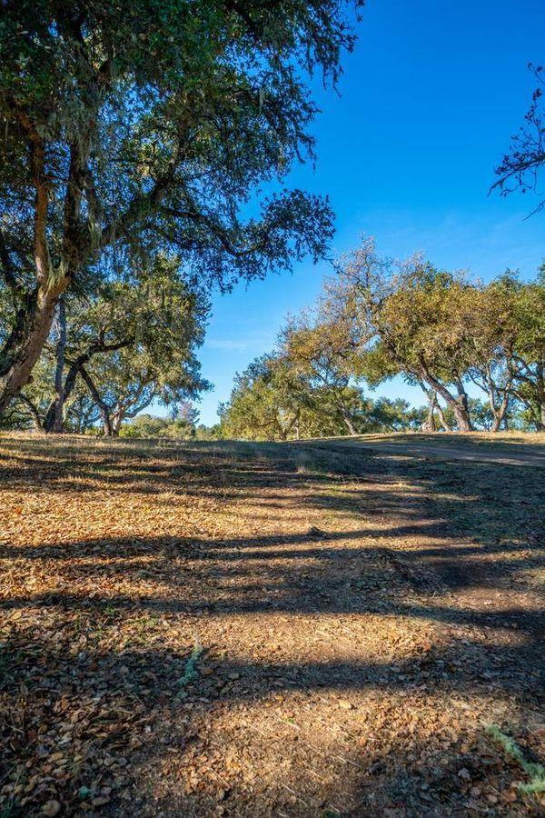 17114 Cachagua Road, Carmel Valley CA: https://media.crmls.org/mediaz/d3dd4153-4eca-4ede-9739-897efcd836f3.jpg