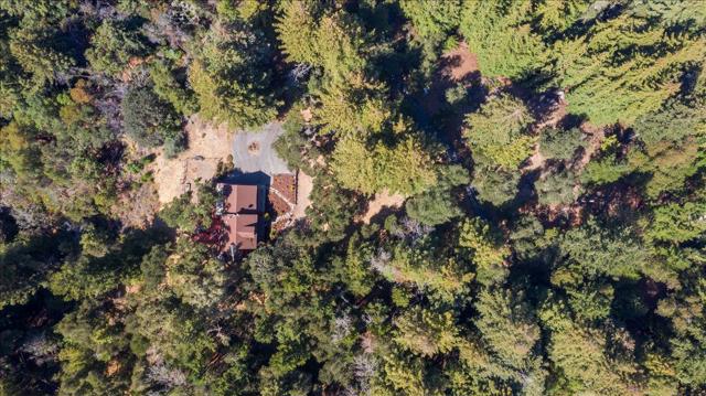 17337 Debbie Road, Los Gatos CA: https://media.crmls.org/mediaz/d3e6216d-427f-41de-8f61-45f7e8372df8.jpg