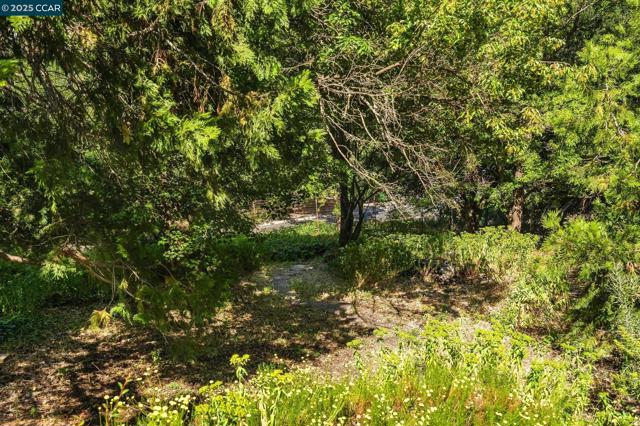 3402 Goyak Dr, Lafayette CA: https://media.crmls.org/mediaz/d3ecdeae-6ca5-4a72-9c3b-8a31a93f7d70.jpg