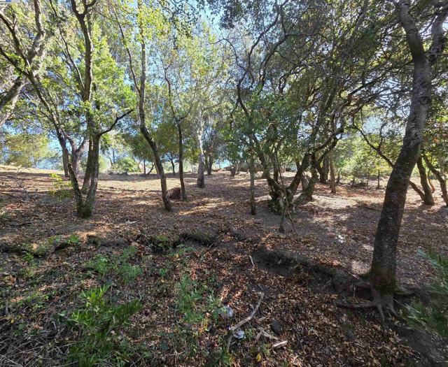 12 Vista Del Orinda, Orinda CA: https://media.crmls.org/mediaz/d3eff9e3-9d11-45e7-9ac9-f1ffe0c3b7b5.jpg