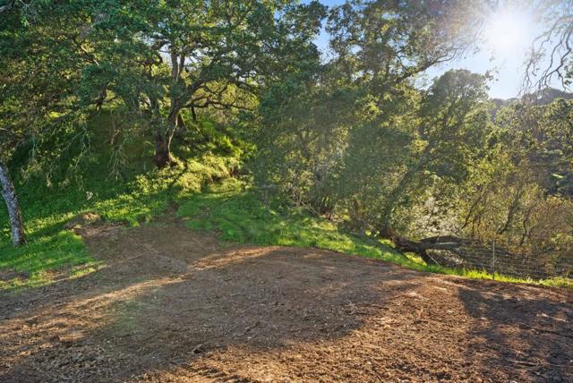 3533 Springhill Road, Lafayette CA: https://media.crmls.org/mediaz/d3f08a60-06c7-4bcd-b8b9-3f908084f594.jpg