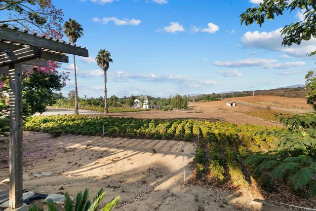 Detail Gallery Image 43 of 51 For 3519 Cazador Ln, Fallbrook,  CA 92028 - 3 Beds | 2 Baths