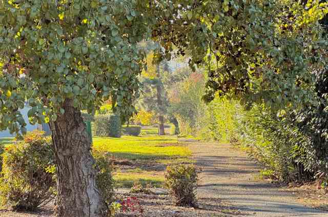 5333 Park Highlands Blvd, Concord CA: https://media.crmls.org/mediaz/d4040bf5-999f-4782-a1ec-ca59f176b876.jpg