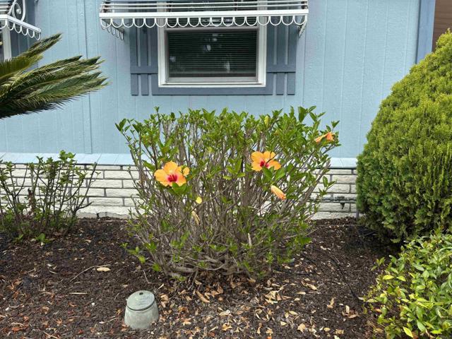 5420 Kipling Lane, Carlsbad CA: https://media.crmls.org/mediaz/d40b7d8d-fc33-4c64-985b-1272b2c8faa3.jpg