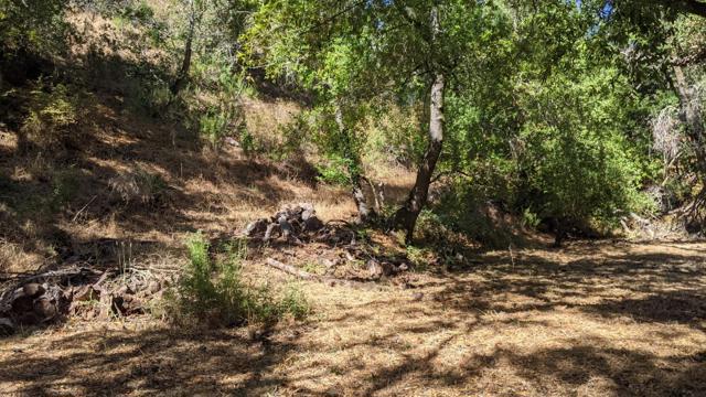 0 ARROYO Way, Los Altos Hills CA: https://media.crmls.org/mediaz/d41e118e-a68a-4729-95ac-b9ad84187e47.jpg