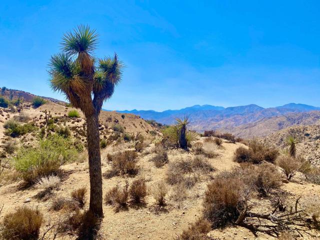 120 Benmar Trail, Morongo Valley CA: https://media.crmls.org/mediaz/d42459c7-0ecb-4af4-8a8c-b79d69ae54f5.jpg