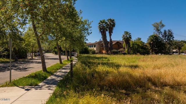 Detail Gallery Image 19 of 30 For 401 S Fulton St, Ojai,  CA 93023 - – Beds | – Baths