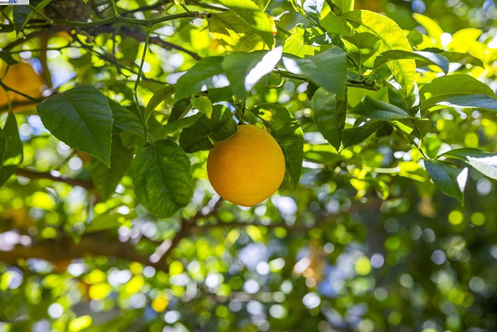 https://media.crmls.org/mediaz/d4377a73-71d2-4549-ab71-8b3bb434c240.jpg?preset=X-Large