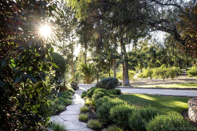 6977 Las Colinas, Rancho Santa Fe CA: https://media.crmls.org/mediaz/d44003c9-6953-4067-ae4c-fc7243e938ef.jpg