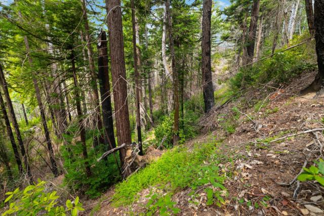 3 Bloom Grade, Boulder Creek CA: https://media.crmls.org/mediaz/d44188fe-108b-4fb0-a3cf-0ddc777bcaf7.jpg