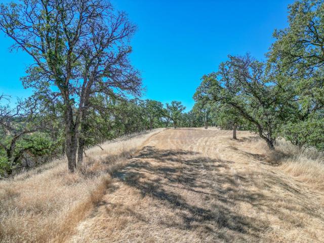 0 Wood Duck Pass Road, Red Bluff CA: https://media.crmls.org/mediaz/d4447298-7faf-4f8c-b81b-678f289893ea.jpg