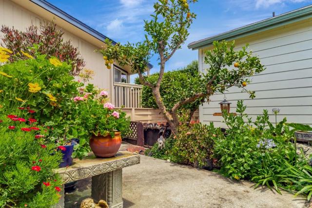 2435 Felt, Santa Cruz CA: https://media.crmls.org/mediaz/d44499f9-0149-431f-bb30-7648884ebc47.jpg