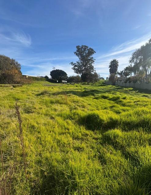 3137 Miller Road, Royal Oaks CA: https://media.crmls.org/mediaz/d451a33a-50c9-424d-8ccf-796519ee901a.jpg