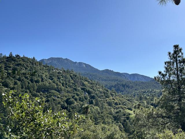 0 Mountain View, Idyllwild CA: https://media.crmls.org/mediaz/d4605b0a-b0b0-4d04-83b9-44398326df08.jpg