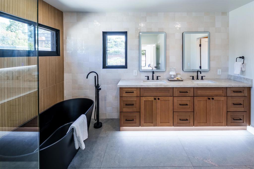 MLS #250033001SD img 14