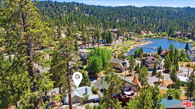 718 Blue Jay Road, Big Bear, CA 92315
