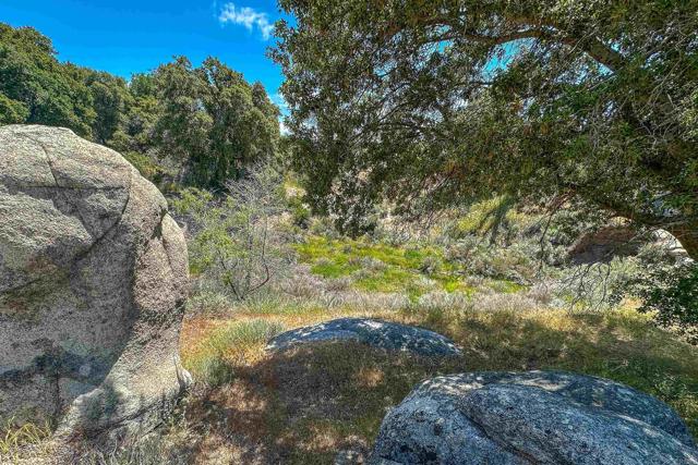 Detail Gallery Image 32 of 32 For 160 Acres Canebrake, Boulevard,  CA 91905 - – Beds | – Baths