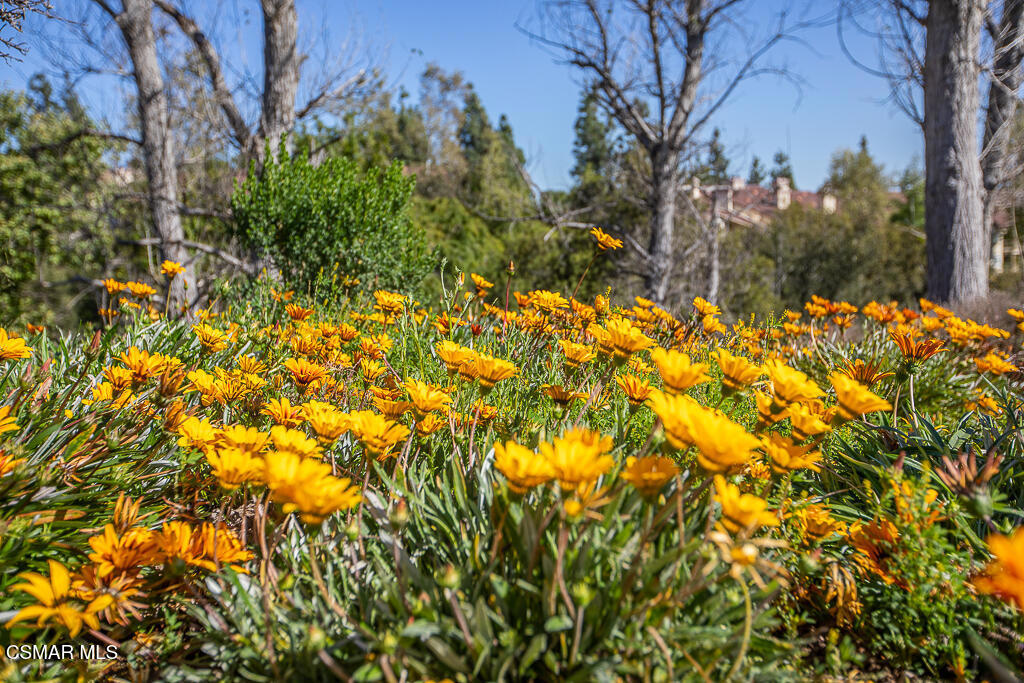 https://media.crmls.org/mediaz/d4a5b1e4-5404-4c4b-a513-7813339c4164.jpg?preset=X-Large