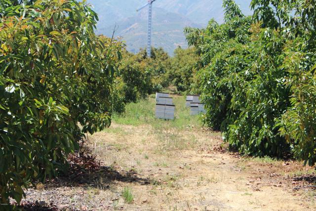 Detail Gallery Image 27 of 33 For 0 Camulos St, Piru,  CA 93040 - – Beds | – Baths