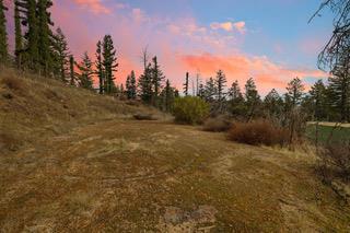 1005 Pinecrest Drive, Boulder Creek CA: https://media.crmls.org/mediaz/d4b67544-ed9e-4020-b592-70c2d89a149f.jpg