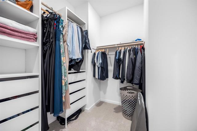 Primary Custom Closet