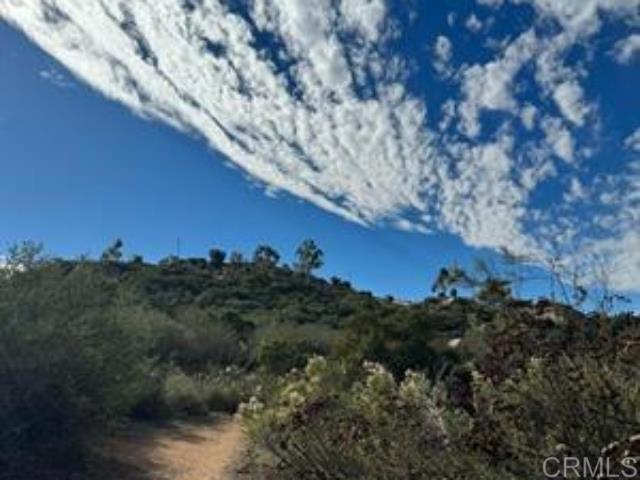 MLS #NDP2408961 image #13