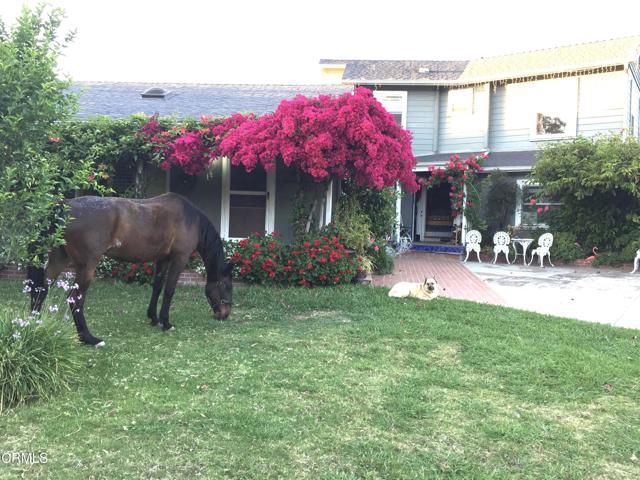 4156 Vista Clara Road, Santa Barbara CA: https://media.crmls.org/mediaz/d4e0cc06-447d-4048-b0d2-c31a9e77ccf0.jpg