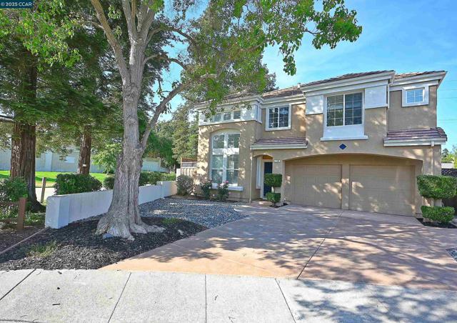 230 Triana Way, San Ramon CA: https://media.crmls.org/mediaz/d4f730f7-7719-4cc7-b6de-09233a5599e2.jpg