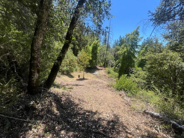 0 Deer Creek (Lot 21), Boulder Creek CA: https://media.crmls.org/mediaz/d5035889-61dd-4d84-a59d-fedccd3d4251.jpg