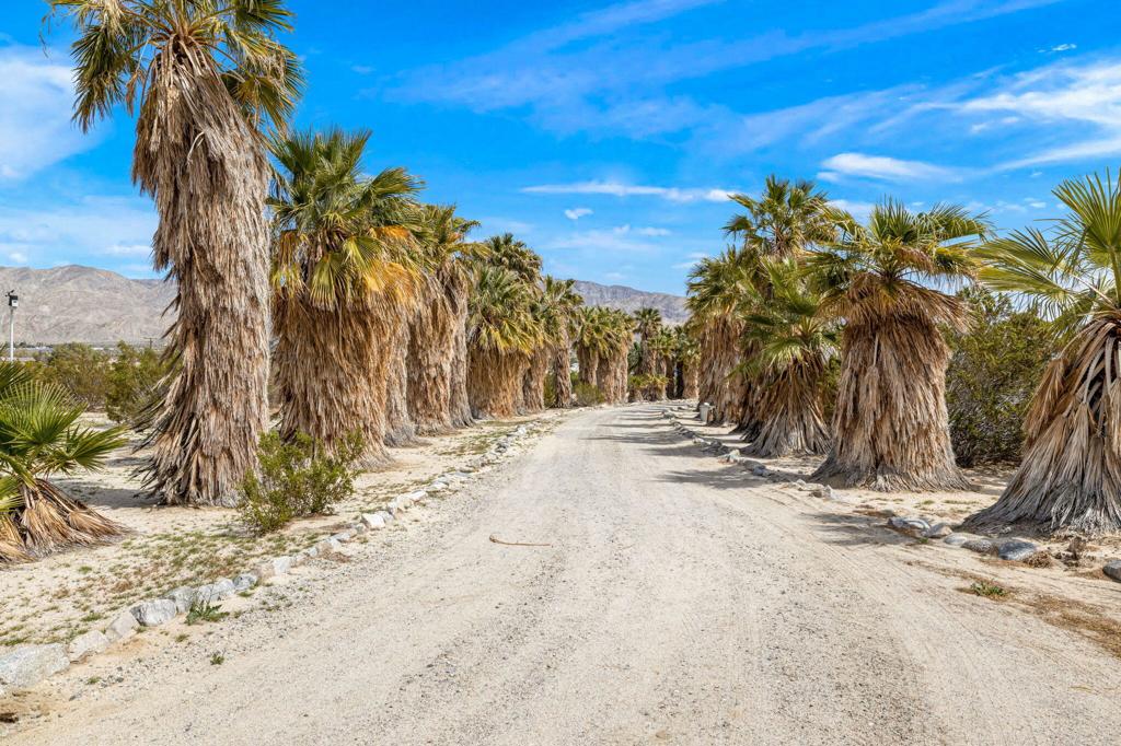 MLS #219138756DA image #45