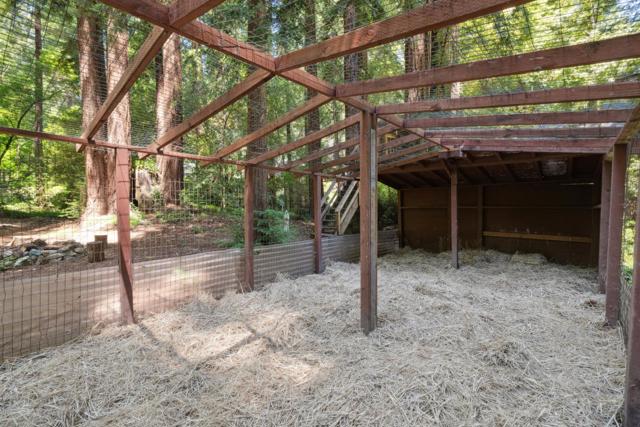 254 Teilh Drive, Boulder Creek CA: https://media.crmls.org/mediaz/d50b6a5e-0456-48fc-85ca-f89e3d5e7fd5.jpg