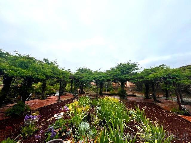 16731 Callado Ct, San Diego CA: https://media.crmls.org/mediaz/d50fc2e4-55a9-4f59-bd71-55e7f1e36731.jpg
