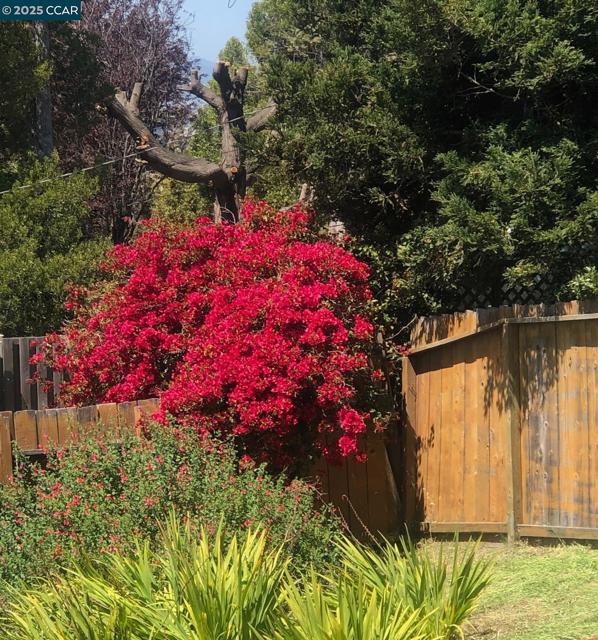 1502 Hillcrest Road, San Pablo CA: https://media.crmls.org/mediaz/d5120629-2a10-43b2-a437-000fafa1bc24.jpg