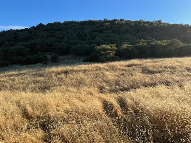 0 Pine Canyon Road, King City CA: https://media.crmls.org/mediaz/d51b0eda-dc38-4d50-b433-113fd879b5f8.jpg