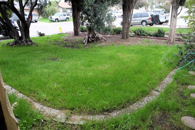 1830 Alegre Dr, Tracy CA: https://media.crmls.org/mediaz/d521caed-c4c7-492a-96bf-0c2ce448a5ce.jpg