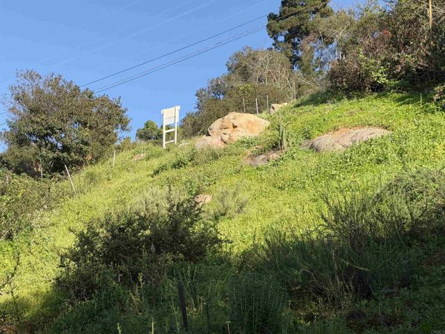 Front Image Thumbnail for CRPTP2601807