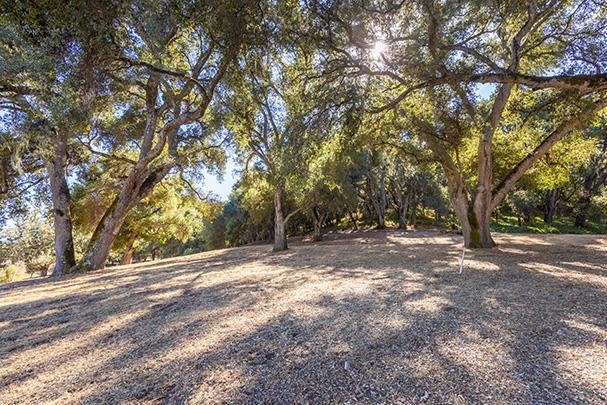 3 Via Vaquera, Carmel CA: https://media.crmls.org/mediaz/d532a928-2b84-4cf6-b2f0-898c48bc9563.jpg