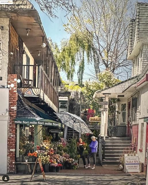 567 Oakland Ave., Oakland CA: https://media.crmls.org/mediaz/d535411b-e373-4896-be2e-12b9bc61b50f.jpg