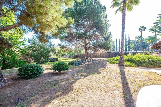 2432 Live Oak Road, Escondido CA: https://media.crmls.org/mediaz/d537c467-d482-4f7f-9a03-2933f2746c79.jpg