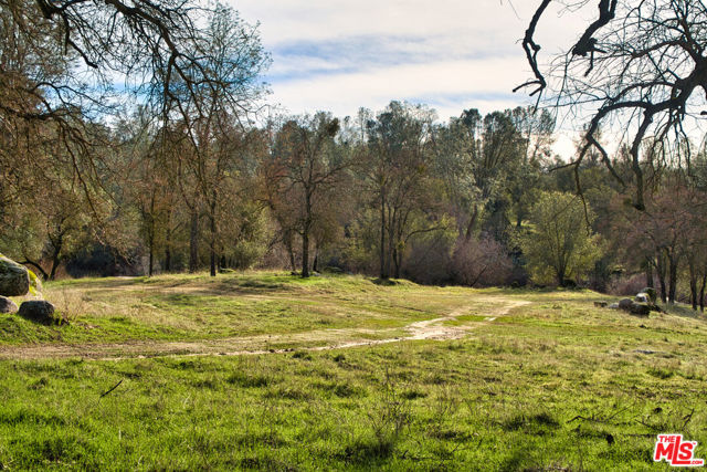 1 Blackhawk Lake, Coarsegold CA: https://media.crmls.org/mediaz/d5407f74-b9c9-4c70-a1bb-a691dc628b2d.jpg