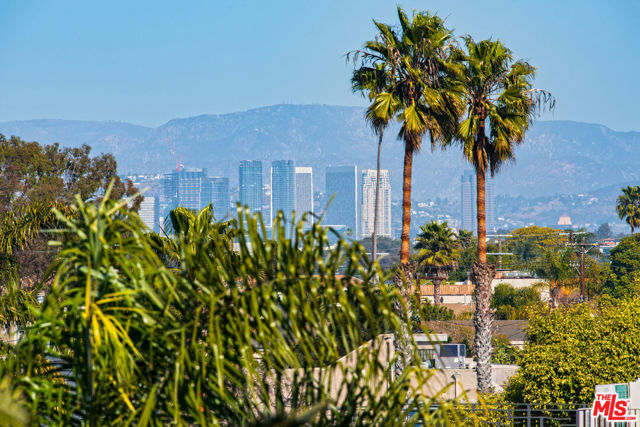 1113 Electric Avenue, Venice CA: https://media.crmls.org/mediaz/d541a375-3d92-47cd-8baf-eb212e558725.jpg