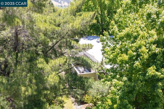 2749 Pine Knoll Dr., Walnut Creek CA: https://media.crmls.org/mediaz/d548bf9a-8587-4568-999d-be1c7b77c63c.jpg