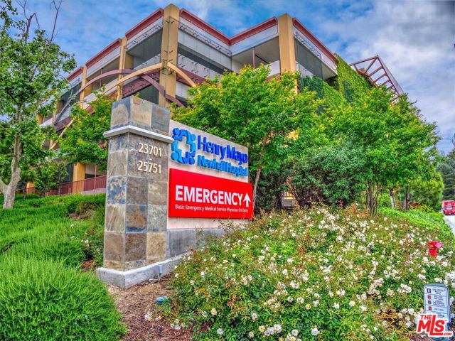 28529 Pietro Drive photo 50