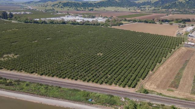 275 Bolsa Road, Gilroy CA: https://media.crmls.org/mediaz/d550b0e1-b81e-49a3-82b5-a9b65849bacf.jpg
