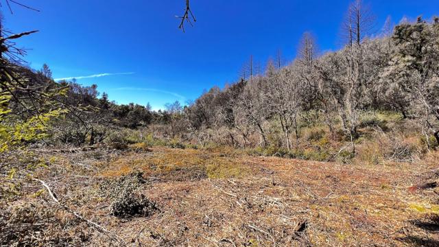 11035 Empire Grade, Santa Cruz CA: https://media.crmls.org/mediaz/d560bc1f-cd4c-461e-b380-d893559b0632.jpg