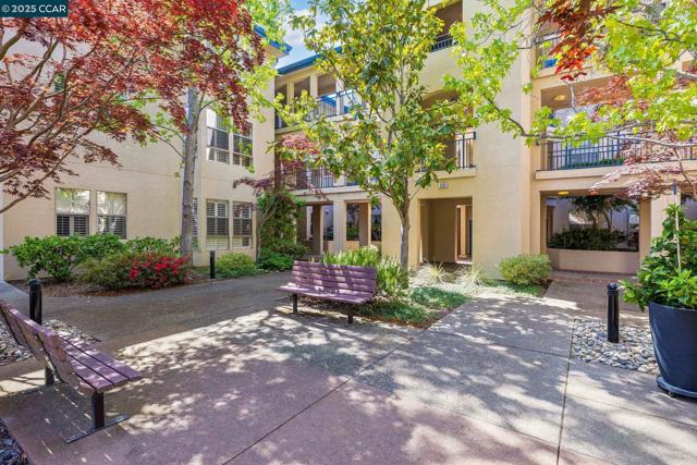 5920 Horsemans Canyon Dr, Walnut Creek CA: https://media.crmls.org/mediaz/d561b89c-01fe-444e-a32b-ad0b1c5a24dc.jpg