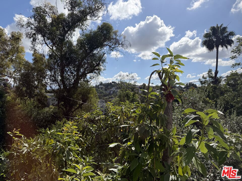 https://media.crmls.org/mediaz/d563d988-d315-4a03-84bf-333387d91ae6.jpg?preset=X-Large